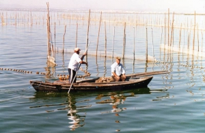pesca tradicional en la albufera