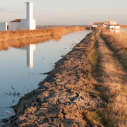 albufera