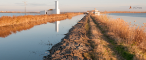 albufera