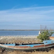 comer en el Palmar y paseo en barca
