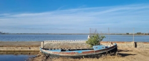 comer en el Palmar y paseo en barca